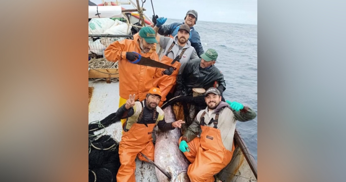 “No serían restos de peces”: abogado del caso Bruma revela dato clave en peritajes