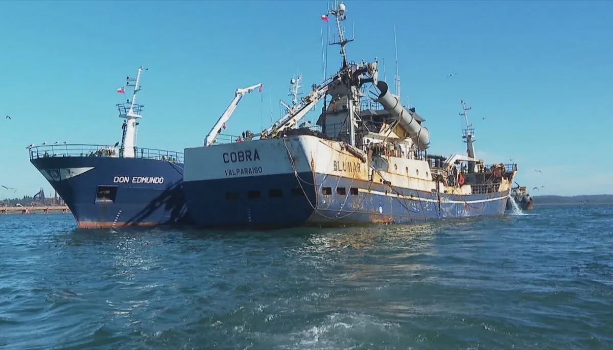 Caso Bruma: revelan qué buscan descubrir con los peritajes al barco Cobra