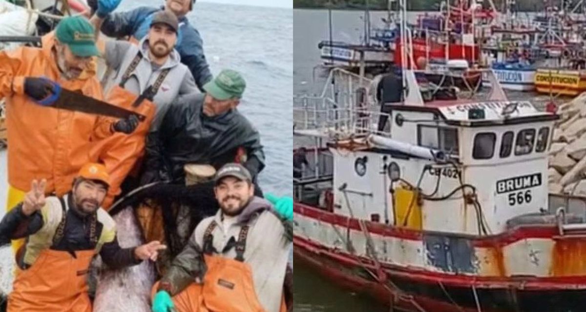 Pesquera en Coronel encuentra restos no identificados: ¿pertenecen a tripulantes desaparecidos?