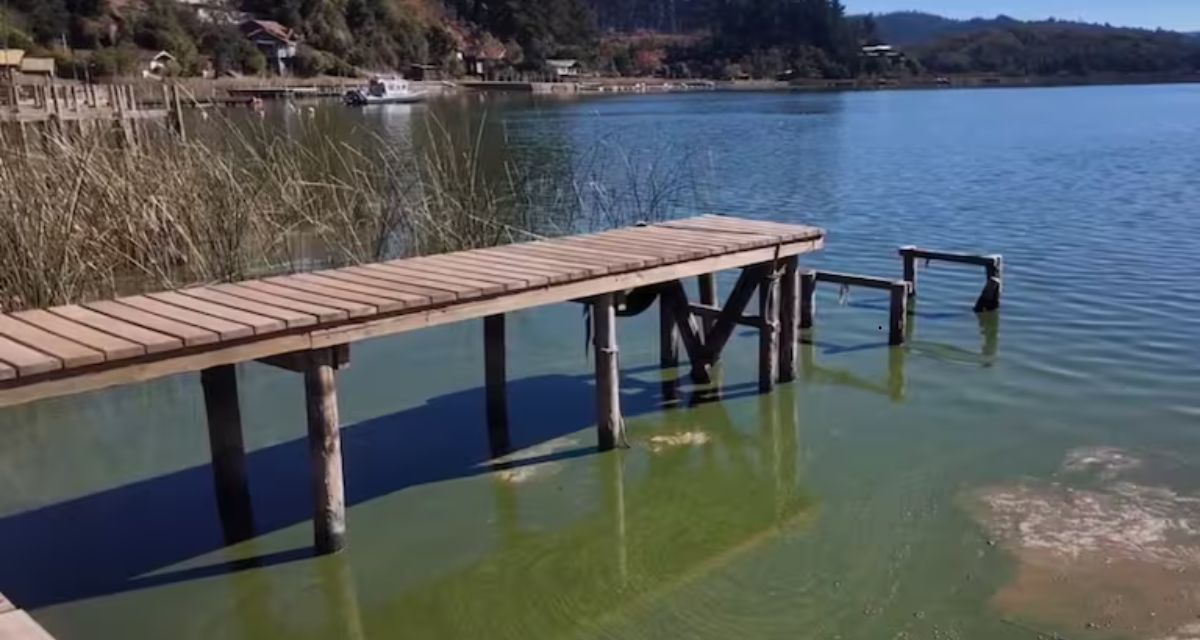 “Ha desencadenado un tremendo problema”: el preocupante fenómeno que afecta al Lago Vichuquén