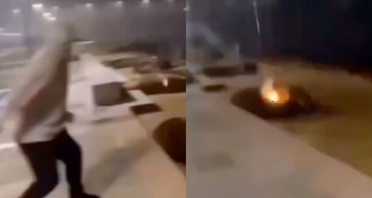 VIDEO | Investigan cruel ataque a lobos marinos con fuegos artificiales en Valdivia: autor sigue prófugo