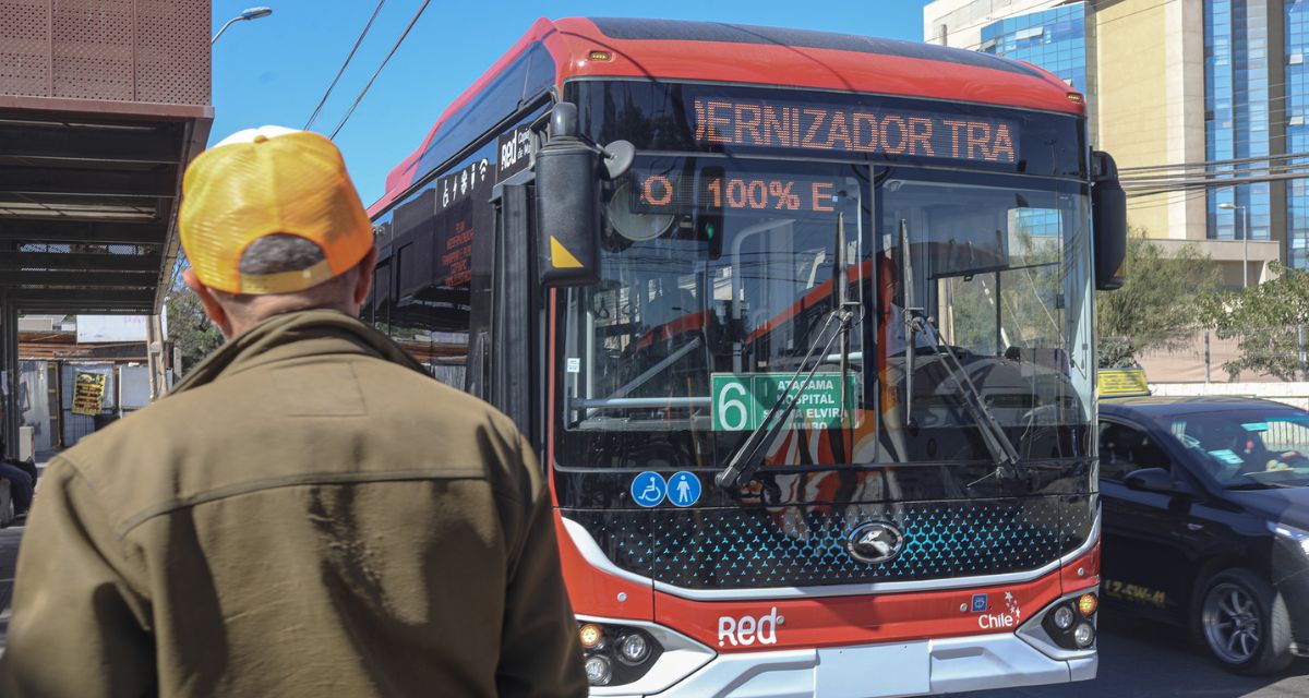 buses